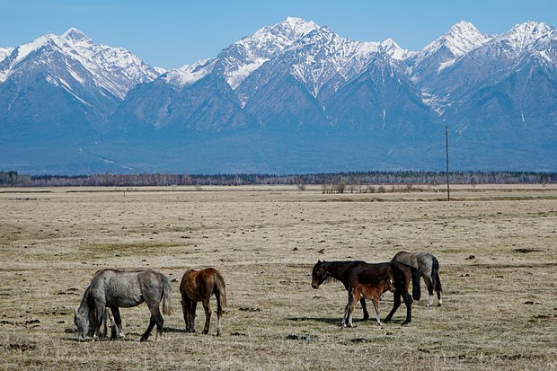 Самые высокие горы России: топ-10 вершин, как называются и где находятся