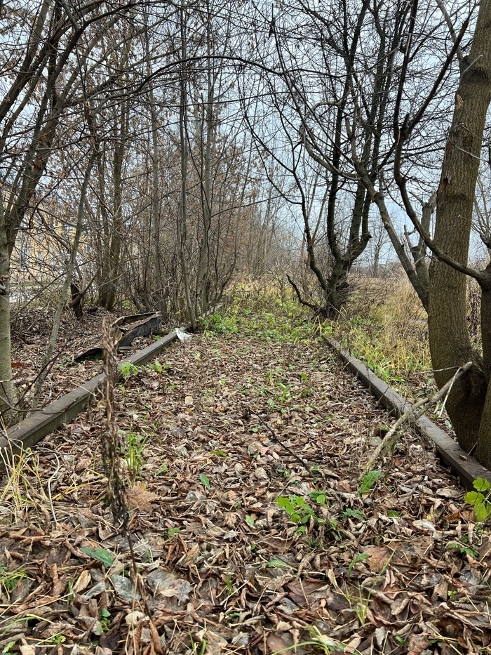 Кинешма: тупик или фронтир на обломках былого величия?