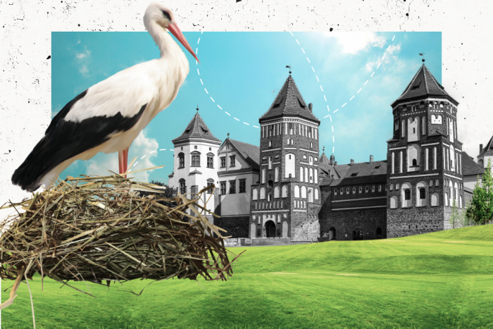 Куда поехать на Новый год 2026 без загранпаспорта: 6 стран