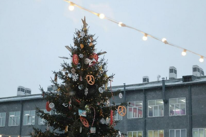 Сияй, Барнаул! Как украсили краевую столицу к Новому году