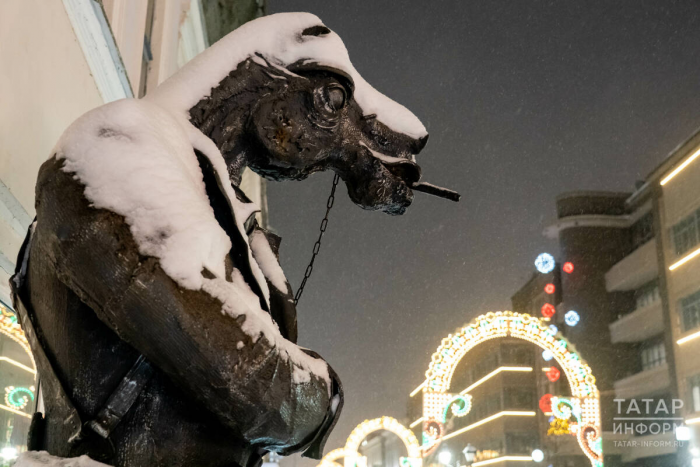 Лошади в городе: где в Татарстане искать символ года, чтобы попросить удачи
