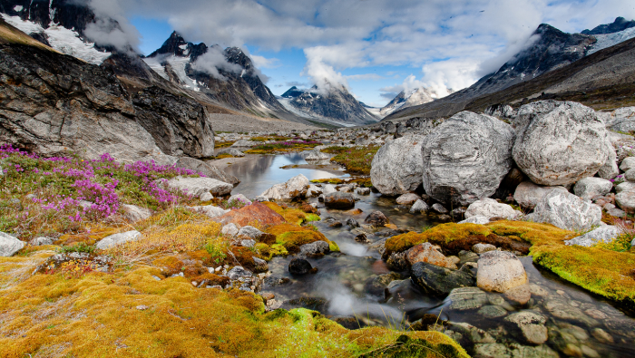 Гренландия: ледяное сердце Арктики, за которым  всегда охотились нации