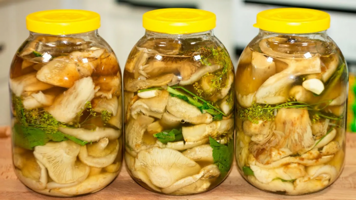 «Вы либо бессмертные, либо сумасшедшие»: гость из Мюнхена объяснил, почему для них обычный поход в лес - это сценарий фильма ужасов.