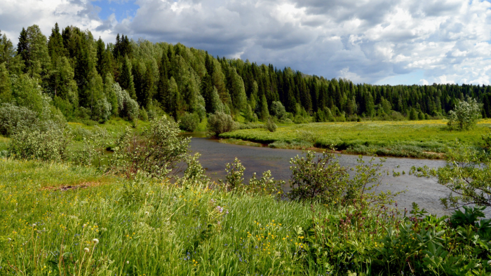 Река Печора: как ее воды чуть не объединили с Камой