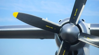 Алтайские туристы стали бояться летать рейсами Azur Air после серии инцидентов