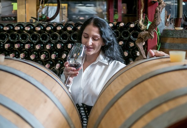 Отдых в Геленджике в 2026 году: как добраться, цены, куда сходить, чем заняться, где остановиться