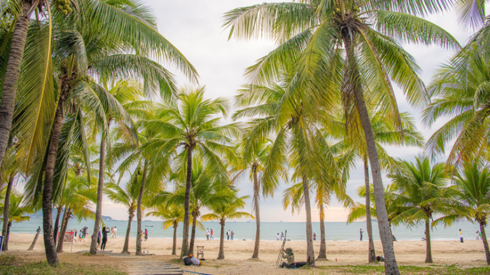 Поднебесная без границ: станет ли отдых в Китае заменой Дубаю для россиян