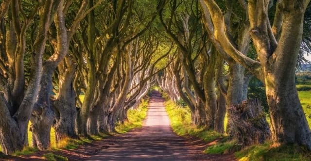 Реальные места, которые выглядят как иллюстрация из книги сказок (20 фото)