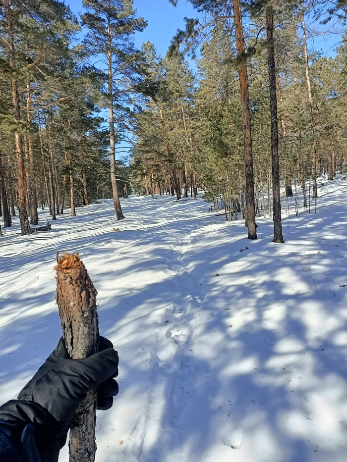 Байкал. Февраль 2023. День 6. Один на один (более 30 км пешки)