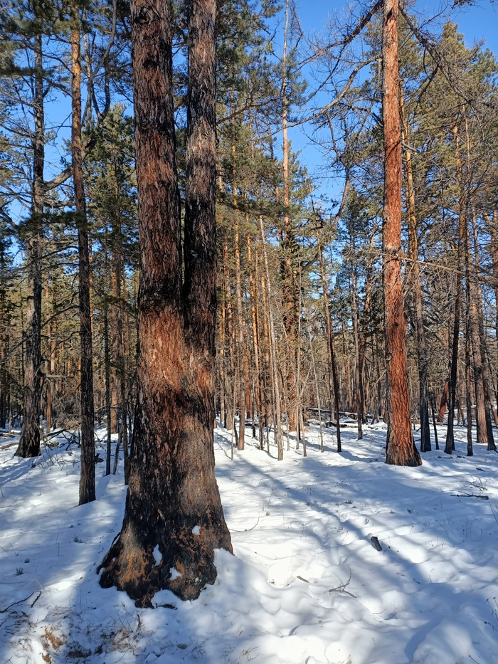 Байкал. Февраль 2023. День 6. Один на один (более 30 км пешки)