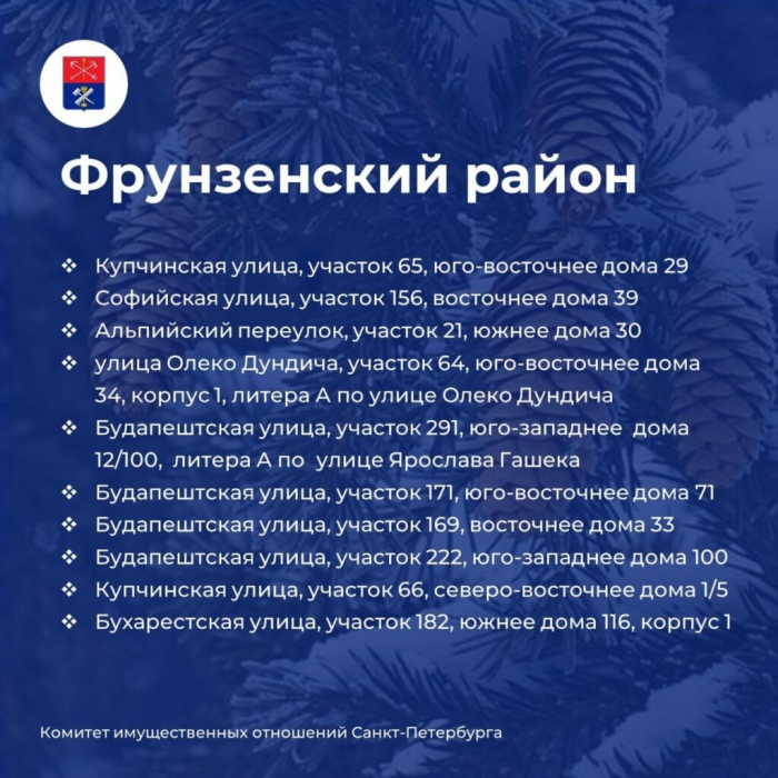 В Петербурге начали работать елочные базары