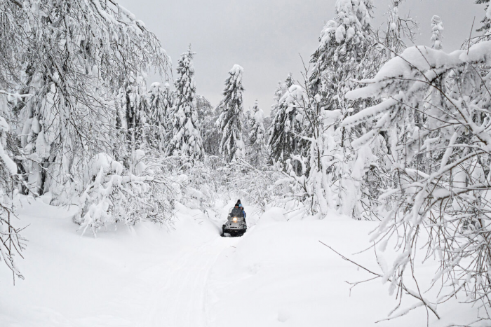 Четверо из пяти пропавших в Пермском крае туристов найдены погибшими