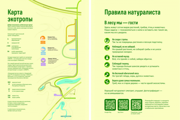 Выход из депрессии и нейросеть деревьев: репортаж с «Маршрута зяблика»