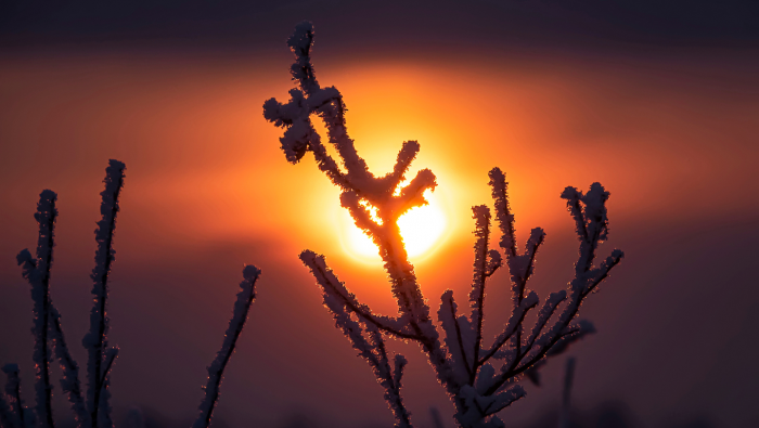 Самый короткий день в году: что такое зимнее солнцестояние