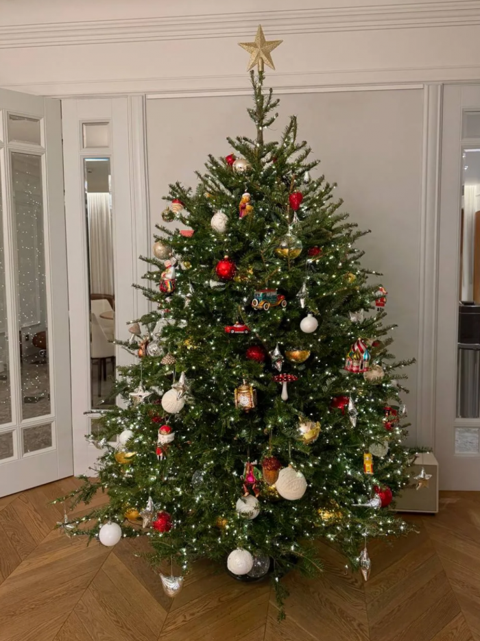 Сушки вместо шаров и гирлянды, которые видно из космоса: самые красивые новогодние елки российских звезд 2026