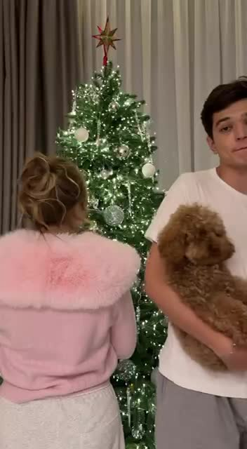 Сушки вместо шаров и гирлянды, которые видно из космоса: самые красивые новогодние елки российских звезд 2026