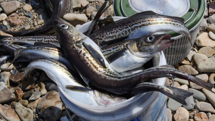 Turogo.ru - Туризм, охота и рыбалка