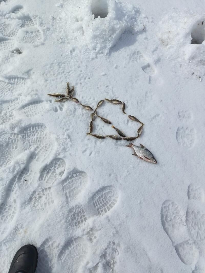 Рыбаки Алтайского края показали солидные последние уловы марта