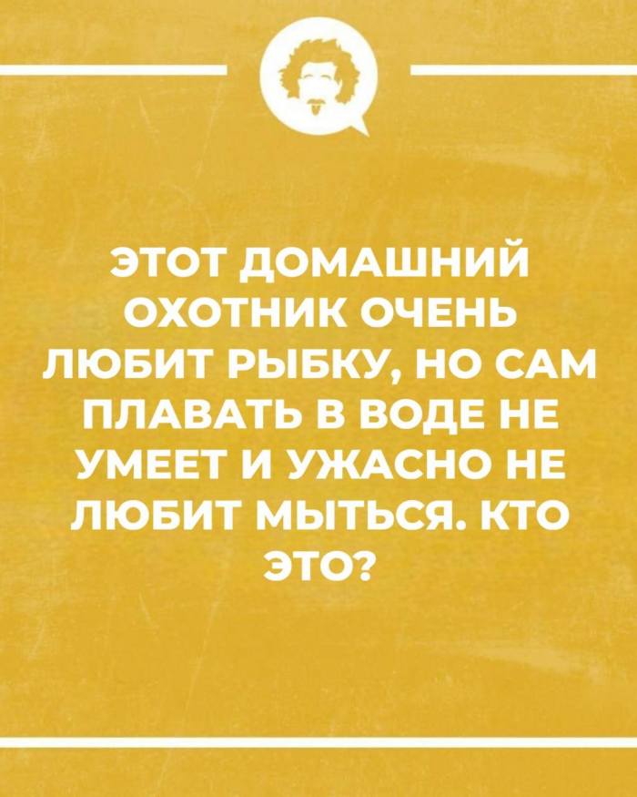 Не зевай, решай: 15 увлекательных загадок
