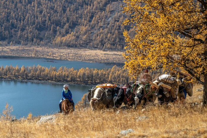 15 фото из сердца Горного Алтая, где люди охотятся с беркутами