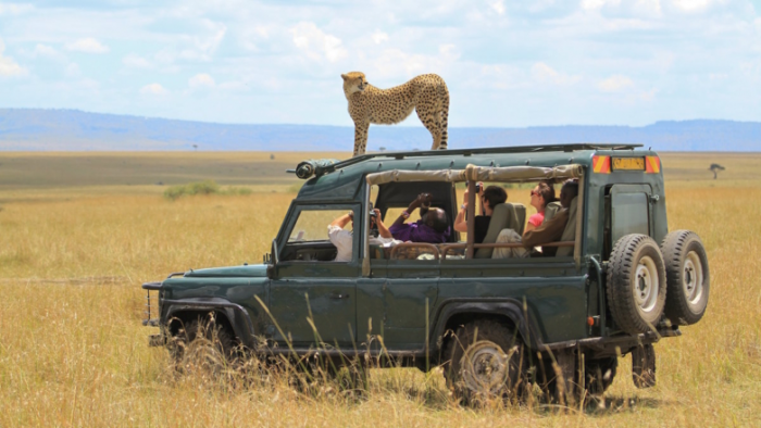 Россия и Африка: что мешает развитию туризма