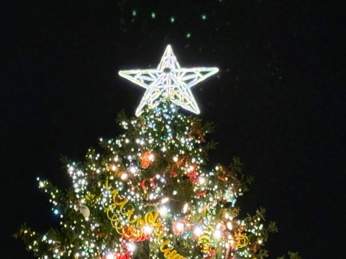 На Дворцовой площади зажгли главную новогоднюю ель Петербурга