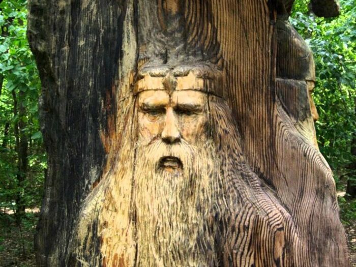 Какие деревья на Руси старались не рубить, и почему