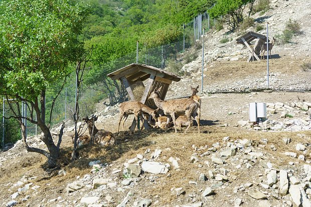 Отдых в Геленджике в 2026 году: как добраться, цены, куда сходить, чем заняться, где остановиться