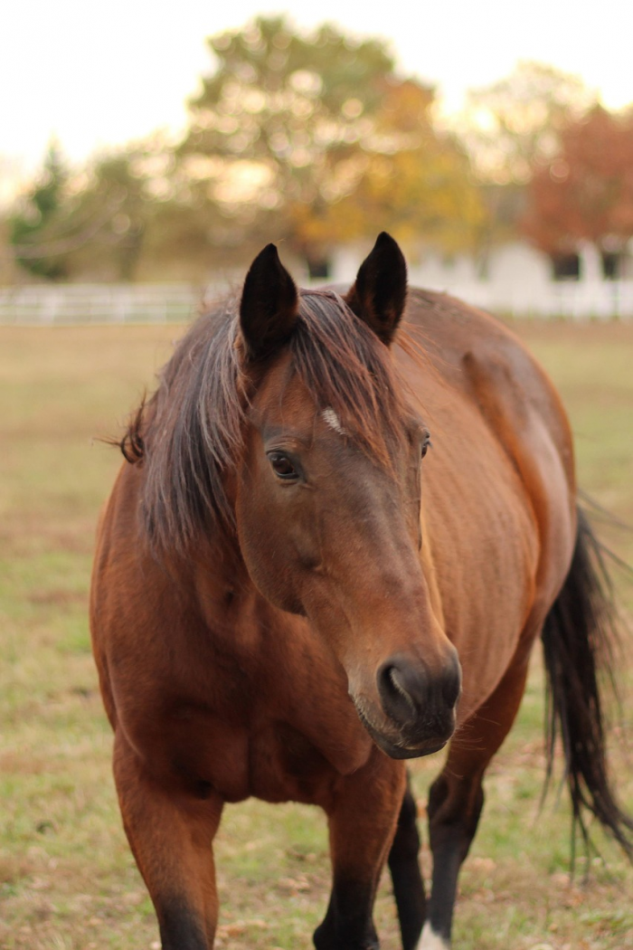 Релаксолог Анна Соколова: как переключиться в режим отдыха после рабочего дня