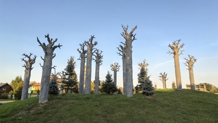 Искусство «Между небом и водой»