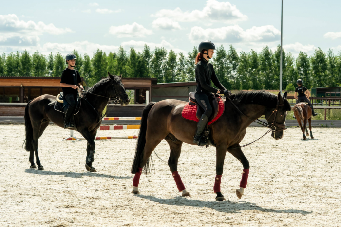 Шыгырдан җайдаклары: «Атларда чабу җанга ял бирә, бөтен тормыш мәшәкатьләре онытыла»