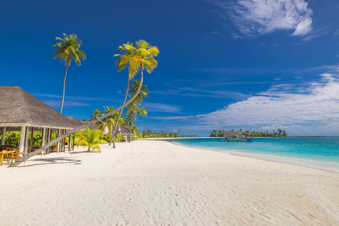 Когда вокруг тихо: зачем люди уезжают отдыхать на Мальдивы