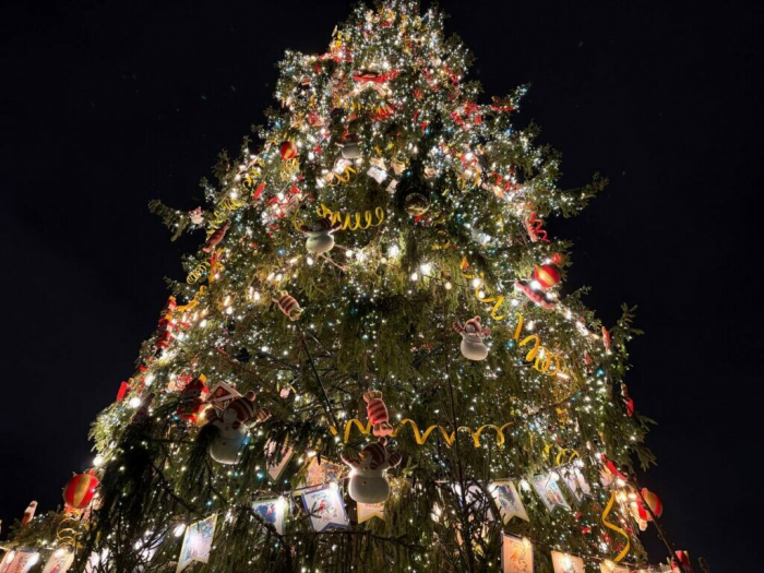 На Дворцовой площади зажгли главную новогоднюю ель Петербурга