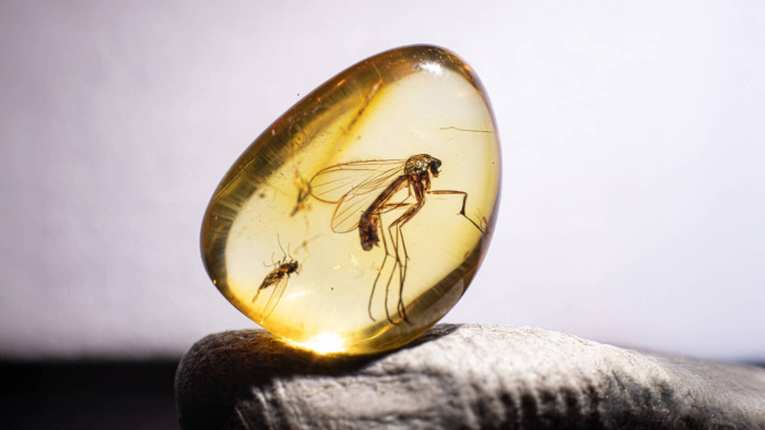 7 интересных фактов  о янтаре, или Почему янтарь ценили фараоны