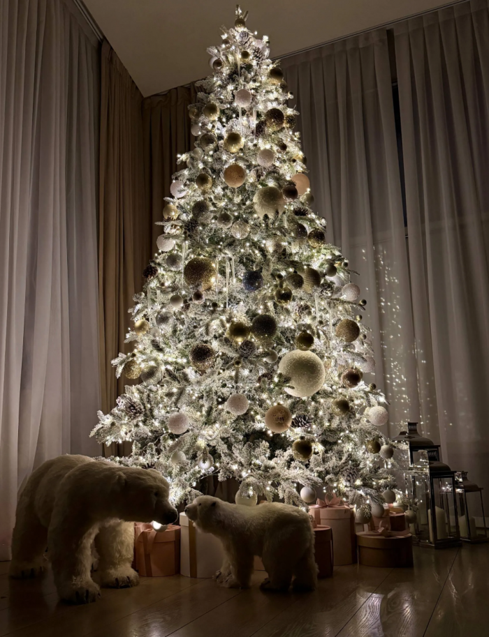 Сушки вместо шаров и гирлянды, которые видно из космоса: самые красивые новогодние елки российских звезд 2026