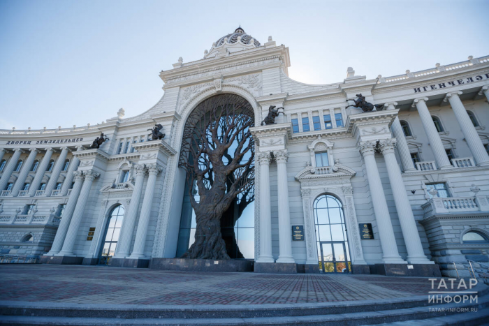 Лошади в городе: где в Татарстане искать символ года, чтобы попросить удачи