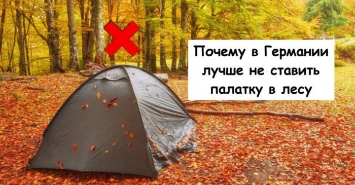 Почему в Германии лучше не ставить палатку в лесу