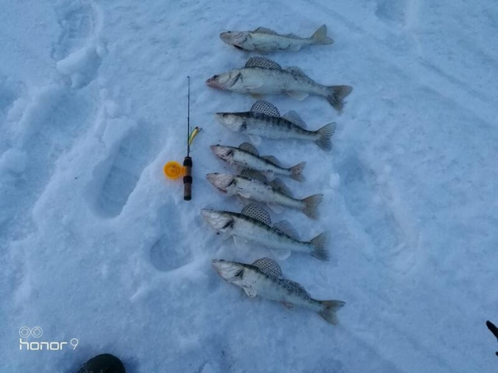 В Алтайском крае рыбаки продемонстрировали впечатляющий зимний улов