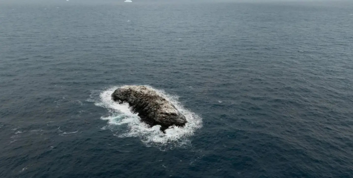 В море Уэдделла ученые случайно обнаружили невнесённый в карты скалистый остров