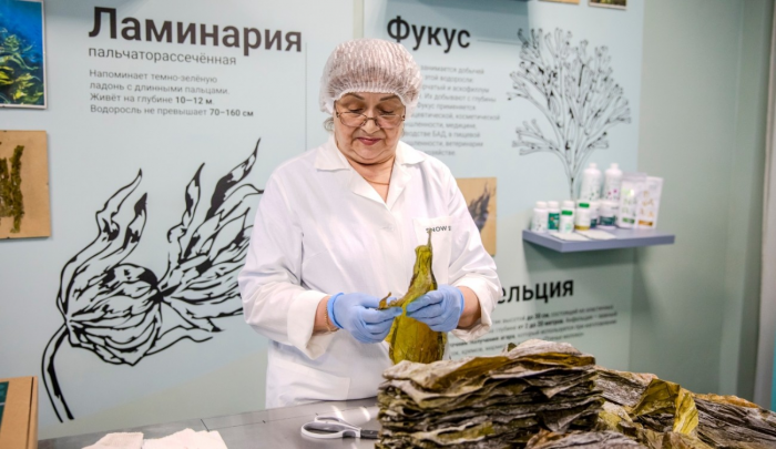 Арктические водоросли: природный биоресурс будущего