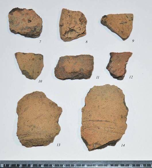 В Татарстане обнаружили ранее неизвестную часть укреплений Новошешминского I городища