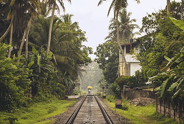 Какие страны открыты для россиян в 2026 году? Список государств, куда можно улететь из России прямым рейсом