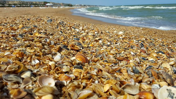 Где отдыхать на Каспийском море в 2026 году? Лучшие курорты и пляжи