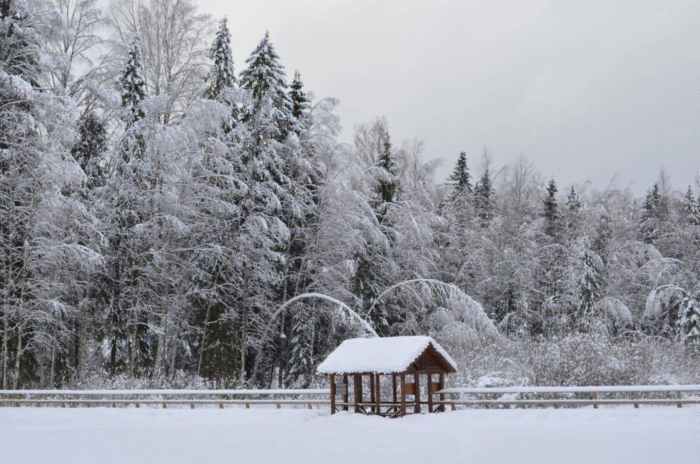 Путешествие в Тверскую область: что посмотреть за пару дней?