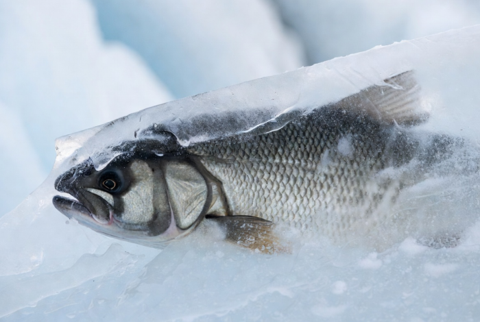 Turogo.ru - Туризм, охота и рыбалка