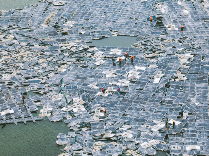 Финалисты профессионального конкурса Sony World Photography Awards 2026