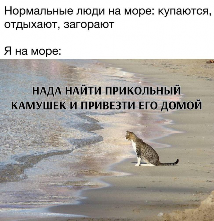 Смешные мемы и картинки о море