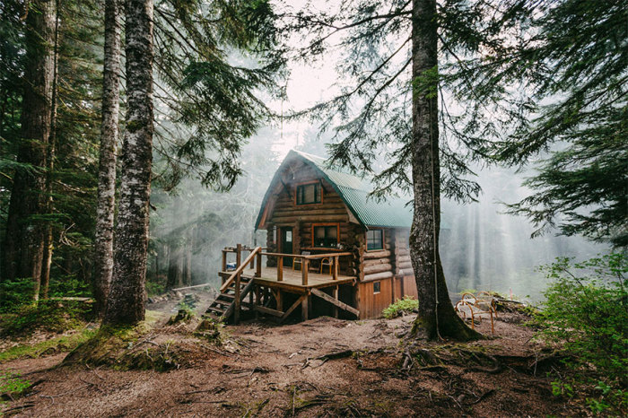 20 удивительных фотографий домов, затерянных в огромных лесах