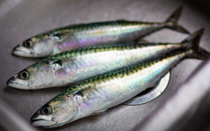 Как правильно выбрать рыбу в магазине