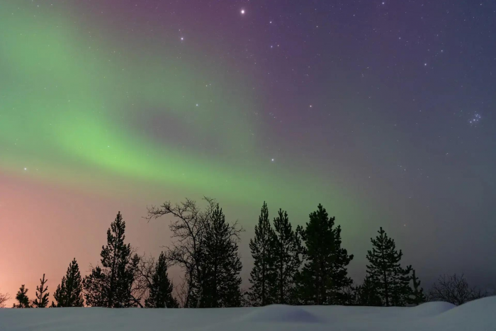 15 самых потрясающе красивых фото зимних видов Земли за всю историю конкурса Nature Photography Contest